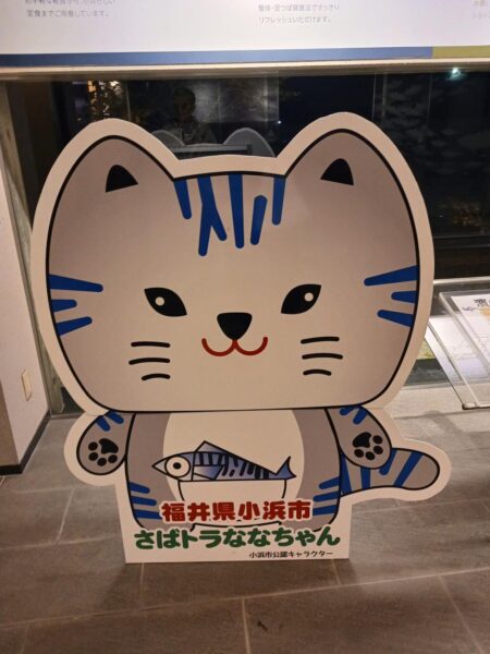 とりあえずアオリ13回目