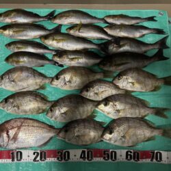 オキアミ五目釣り