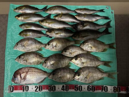 オキアミ五目釣り