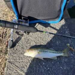 北湖漁港小バス祭り