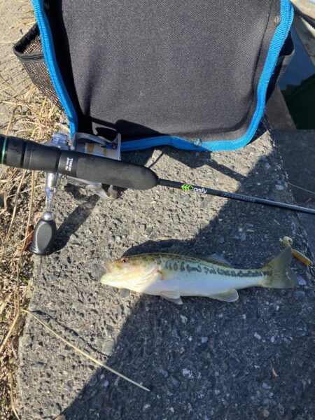 北湖漁港小バス祭り