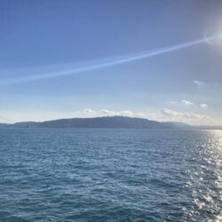 グレ狙いで良型揃い!