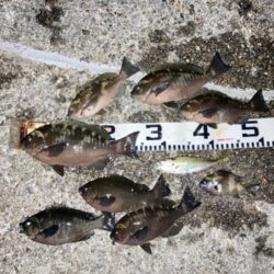 デジタルデトックス釣行