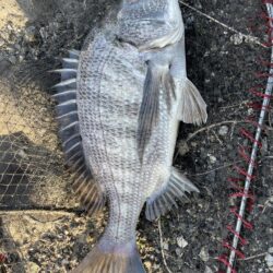 イチノ兄弟、釣果!