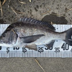 イチノ兄弟、釣果!