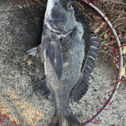 イチノ兄弟、釣果!
