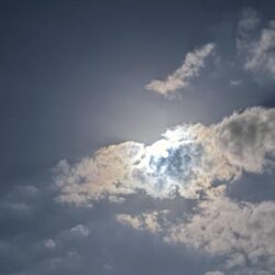 久しぶりのタコ釣り