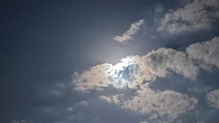 久しぶりのタコ釣り