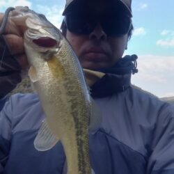 ダウンショットに救われました