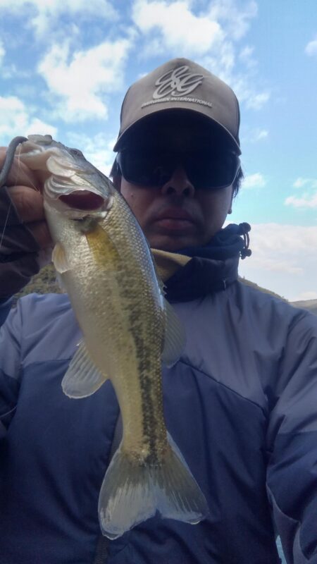 ダウンショットに救われました