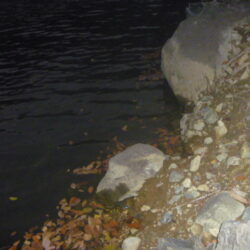 一庫ダム釣行　12月8日