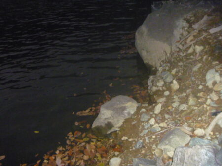 一庫ダム釣行　12月8日