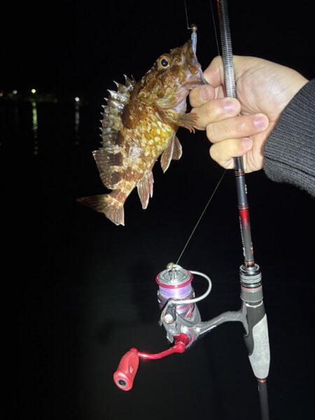 深夜釣行