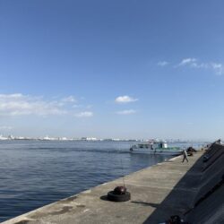 ショア青物終盤か