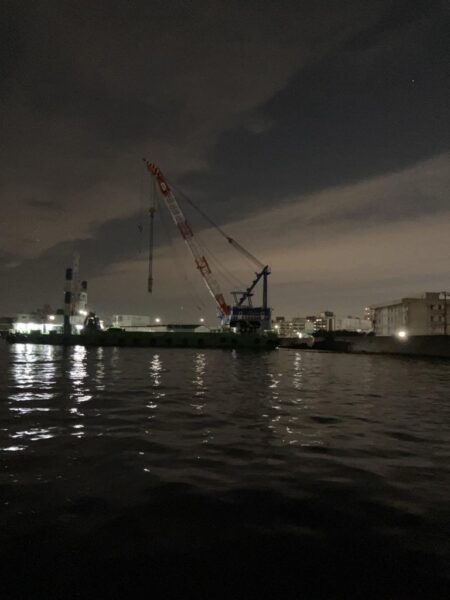 黄昏に行っただけだが、、、釣れた