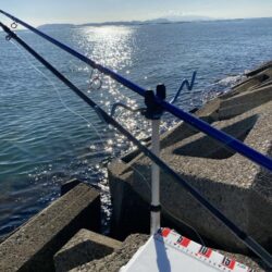 シロギスタ:今シーズンシロギス最終日