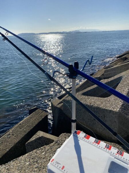 シロギスタ:今シーズンシロギス最終日