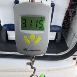 ショアプラッキング