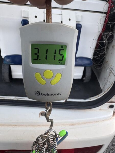 ショアプラッキング