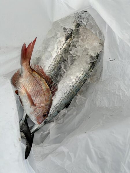 厳しかった釣り納め