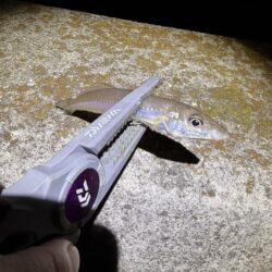 娘とちょい投げ釣り!