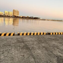 ショアジギングでサバ