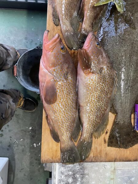 アジノマセは、安心