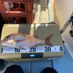 タイラバで冬鯛