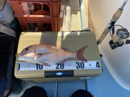 タイラバで冬鯛