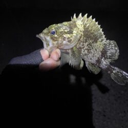 ひさびさ垂水漁港