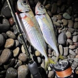 フロートアジング