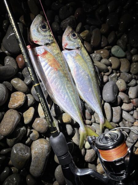 フロートアジング