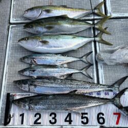 完全タチパターン！