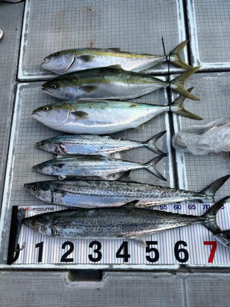 完全タチパターン！