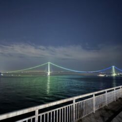 大蔵海岸でアジング