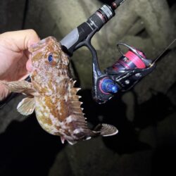 淡路の深夜釣行