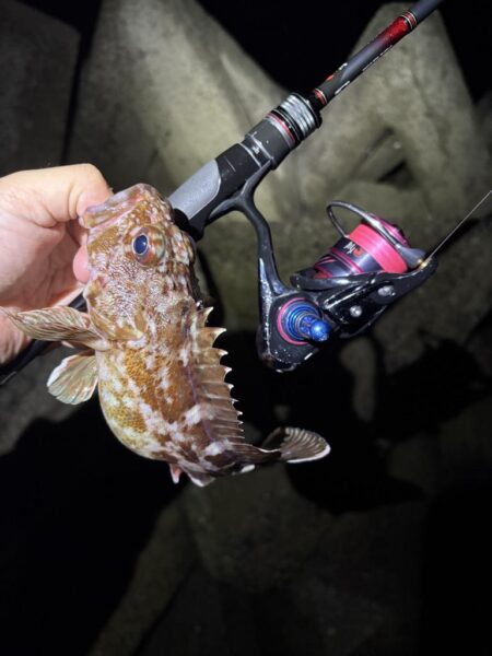 淡路の深夜釣行