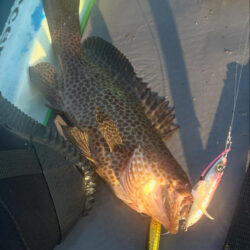 supフィッシング SLJ