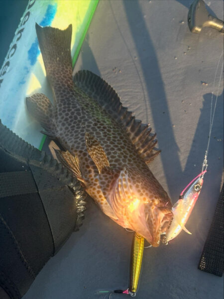 supフィッシング SLJ