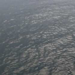 フロートアジング