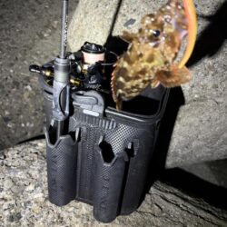 釣り納めナイトアジング