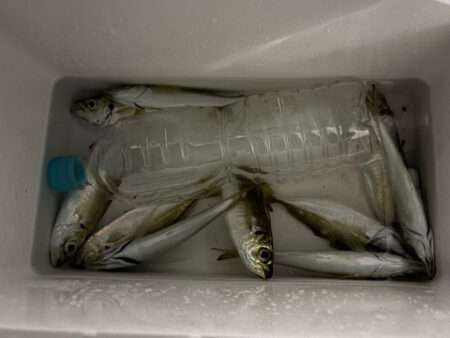 微妙なアタリが多くなってきた