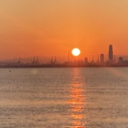 高級鍋食材逃がさないぞ！