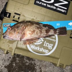 年末最後の釣行