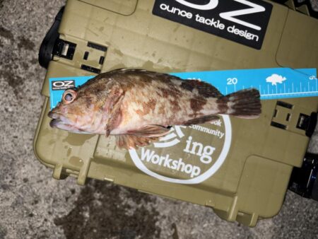 年末最後の釣行