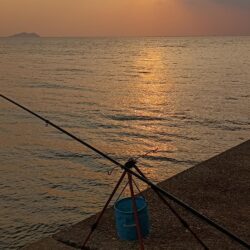 全然ダメでした