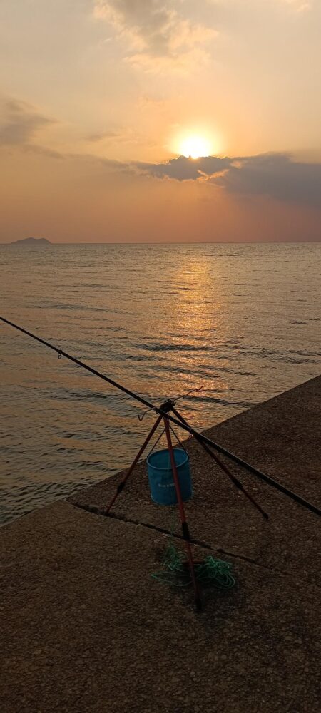 全然ダメでした