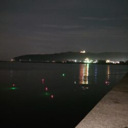 電気ウキ釣り 17