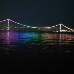 電気ウキ釣り 18