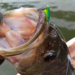 津久井湖初ボート